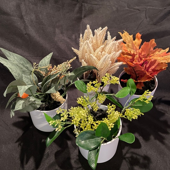 Faux potted plants, 4” tall - Picture 6 of 11
